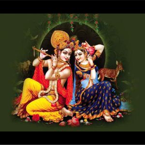 LIFEHAXTORE® Xtore Raasleela Radha Krishna Art Fr...