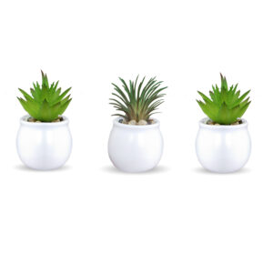 Xtore® Home Decor Small Ceramic White Planter Pot...