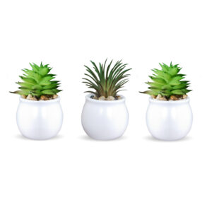 Xtore® Home Decor Small Ceramic White Planter Pot...