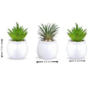 Xtore® Home Decor Small Ceramic White Planter Pot...