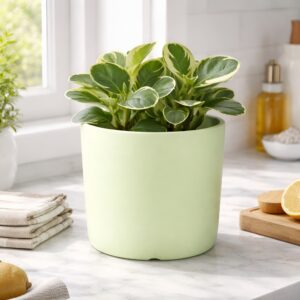 Xtore® Ceramic Lemon Flower Pot | Home Decor