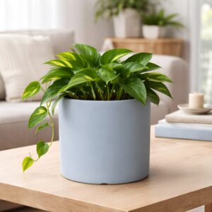 Xtore® Ceramic Grey Flower Pot | Home Decor