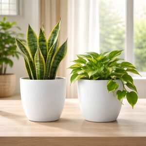 Xtore Small Size Decorative and Durable Beautiful ...