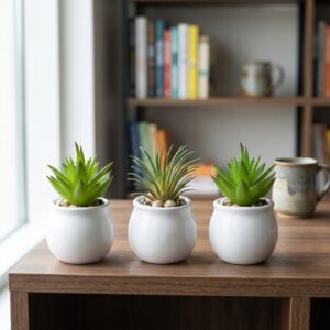 Xtore® Home Decor Small Ceramic White Planter Pot...