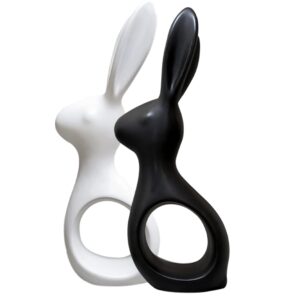 Adorable Matte Finish Ceramic Home Decor Rabbit Pair (Black & White)